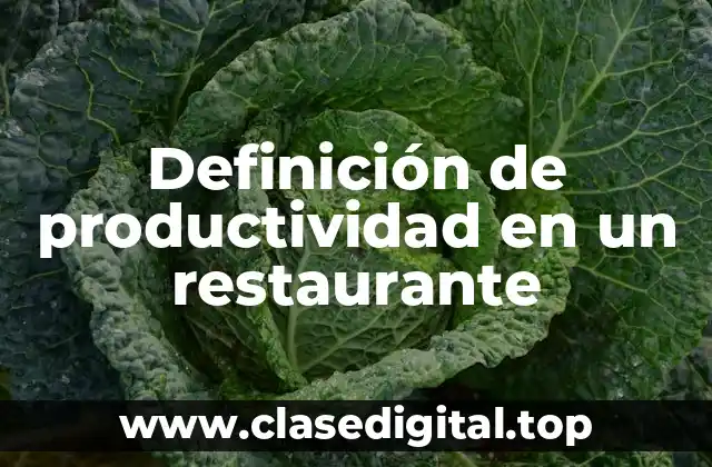 Definición de productividad en un restaurante