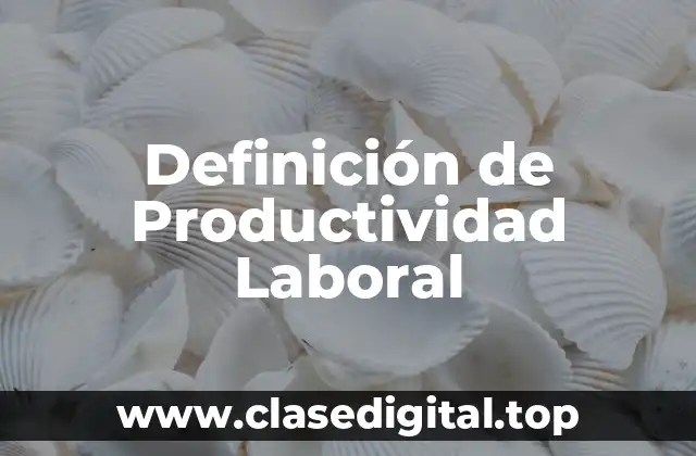 Definición de Productividad Laboral