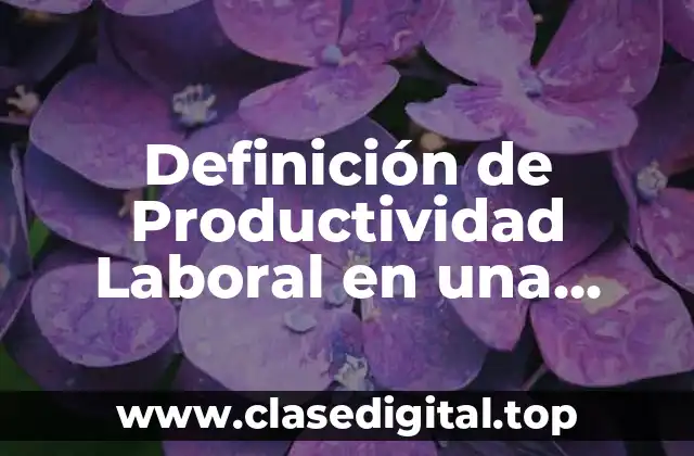 Definición de Productividad Laboral en una Escuela