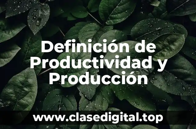 Definición de Productividad y Producción