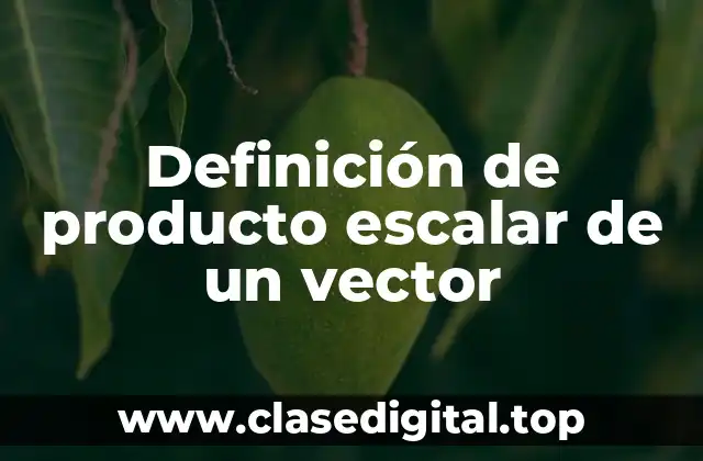 Definición de producto escalar de un vector