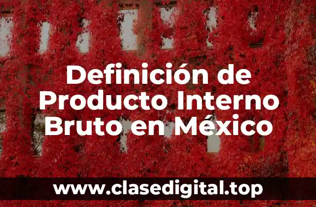 Definición de Producto Interno Bruto en México