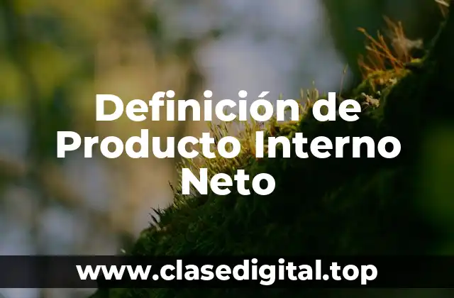 Definición de Producto Interno Neto