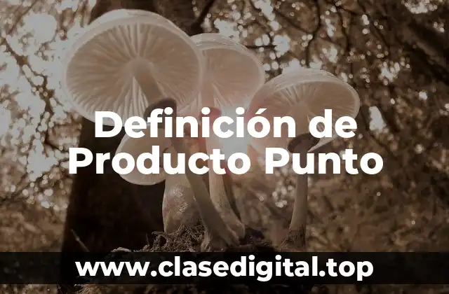Definición de Producto Punto