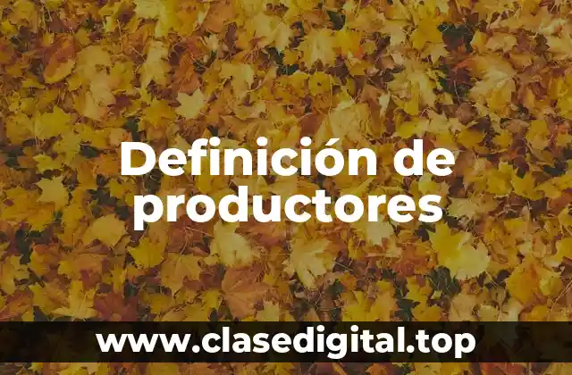 Definición técnica de productor