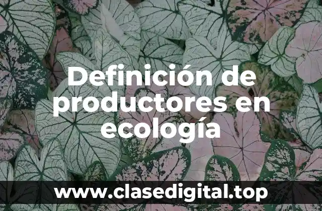 Definición de productores en ecología