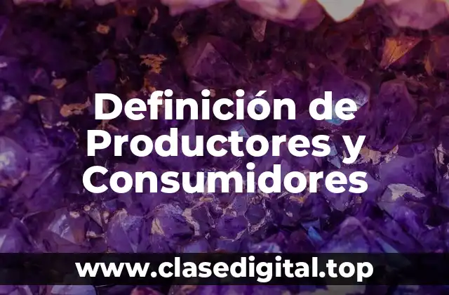 Definición de Productores y Consumidores