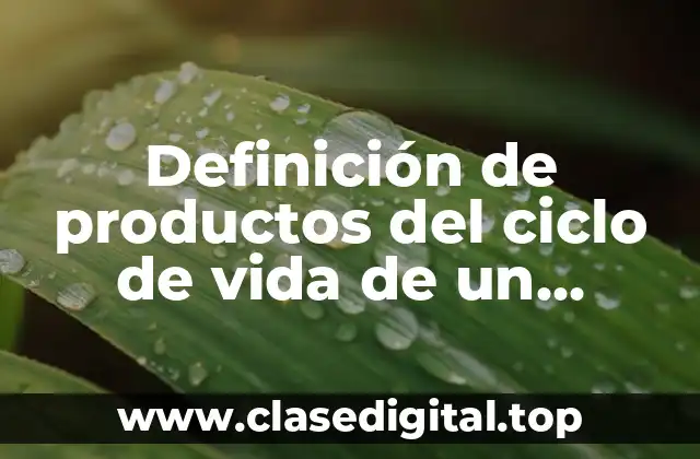 Definición de productos del ciclo de vida de un producto