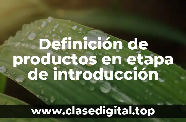 Definición de productos en etapa de introducción