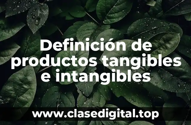 Definición de productos tangibles e intangibles