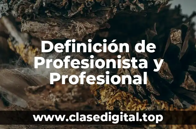 Definición de Profesionista y Profesional