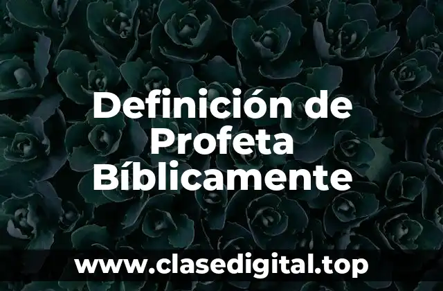 Definición Técnica de Profeta Bíblicamente