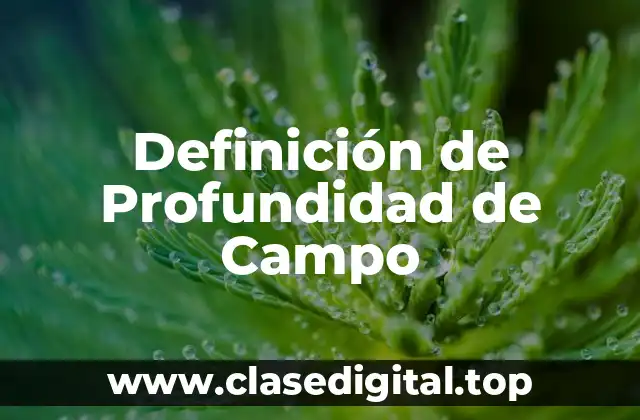 Definición de Profundidad de Campo