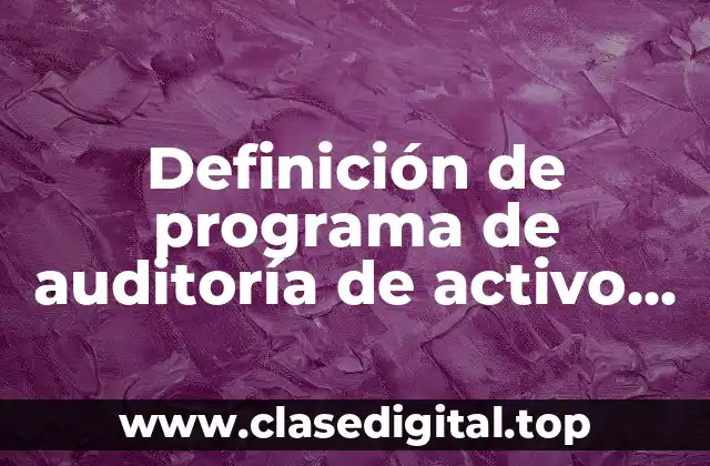 Definición de programa de auditoría de activo fijo