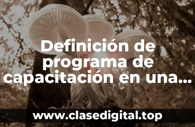 Definición de programa de capacitación en una empresa