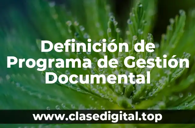 Definición técnica de Programa de Gestión Documental