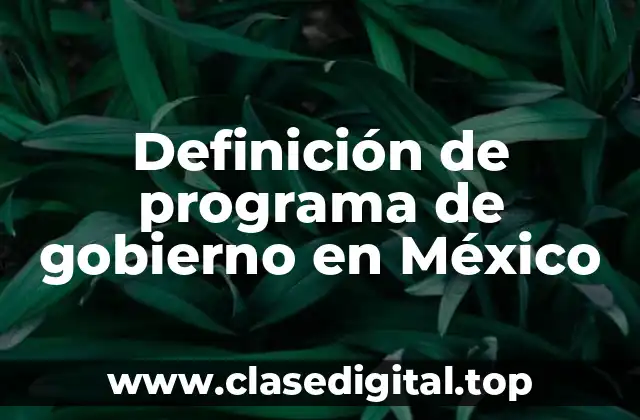 Definición técnica de programa de gobierno en México