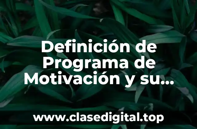 Definición de Programa de Motivación y su Estructura