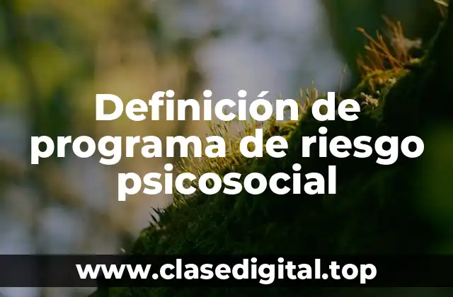 Definición de programa de riesgo psicosocial