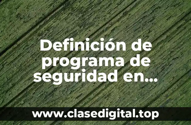 Definición de programa de seguridad en computación