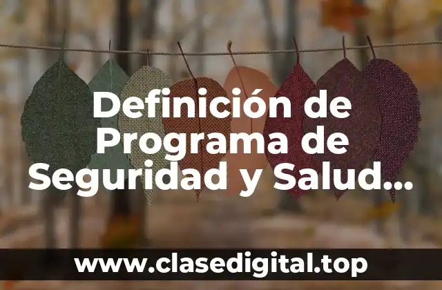 Definición de Programa de Seguridad y Salud en el Trabajo