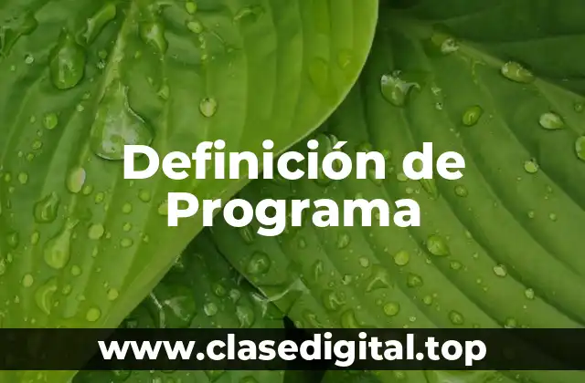 Definición técnica de programa