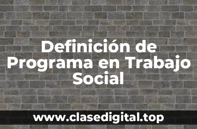 Definición de Programa en Trabajo Social