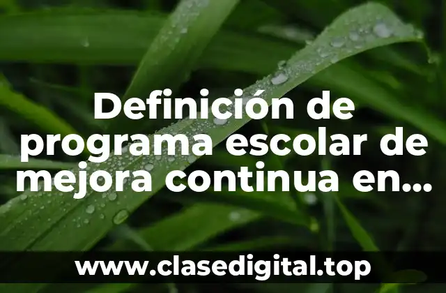 Definición de programa escolar de mejora continua en preescolar