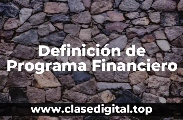 Definición de Programa Financiero