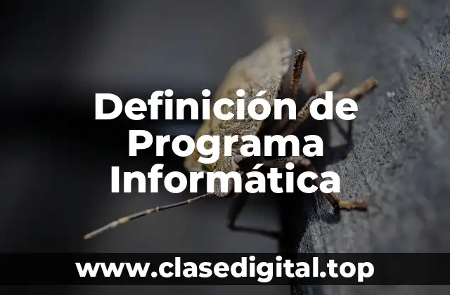 Definición de Programa Informática