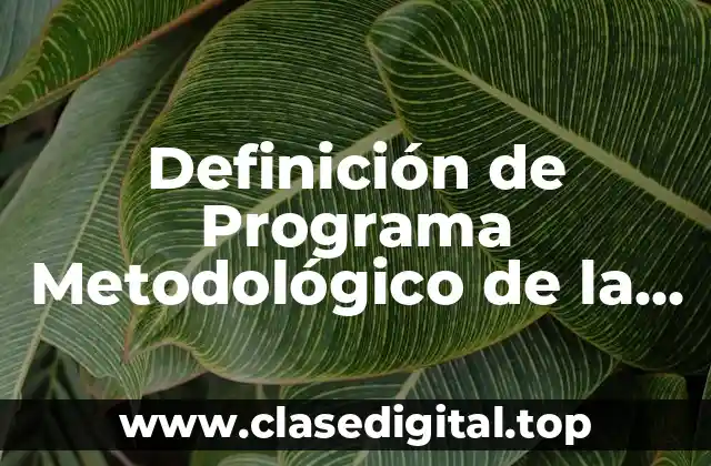 Definición de Programa Metodológico de la Fiscalía