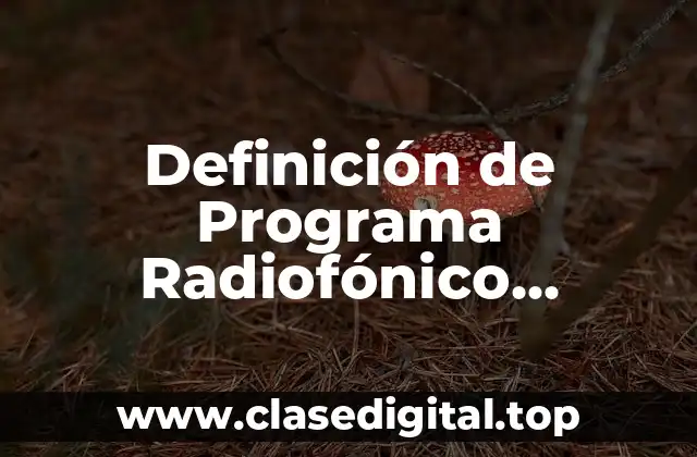 Definición técnica de Programa Radiofónico Temático