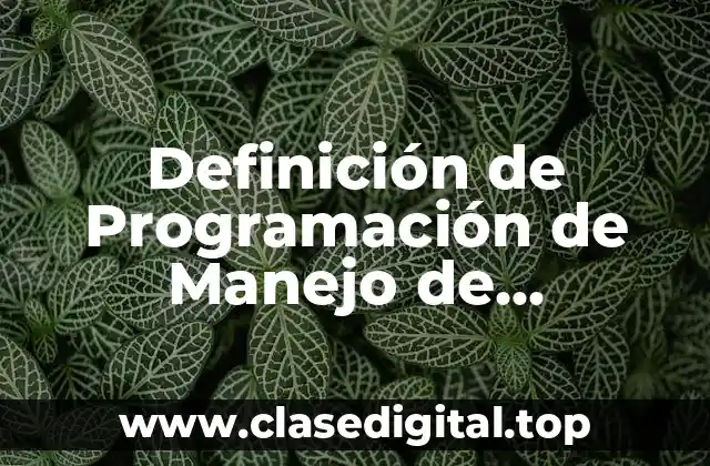 Definición de Programación de Manejo de Requisitos