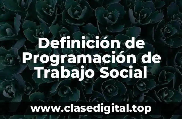 Definición de Programación de Trabajo Social
