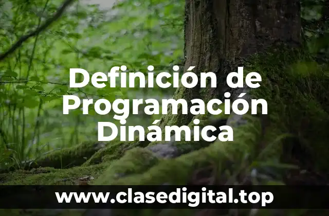 Definición de Programación Dinámica