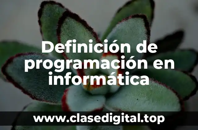 Definición de programación en informática