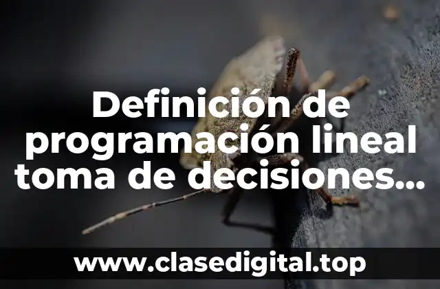 Definición de programación lineal toma de decisiones en una empresa