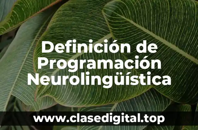 Definición de Programación Neurolingüística