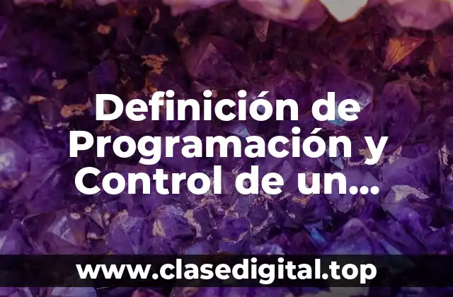 Definición de Programación y Control de un Proyecto