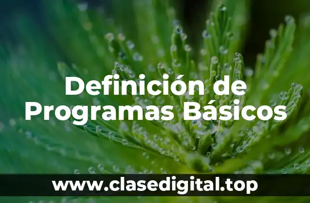 Definición de Programas Básicos