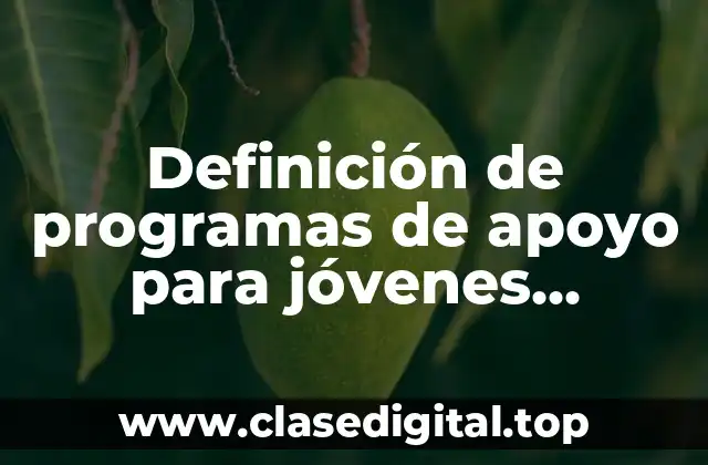 Definición de programas de apoyo para jóvenes emprendedores