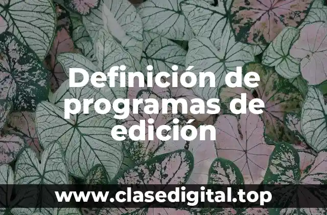 Definición de programas de edición