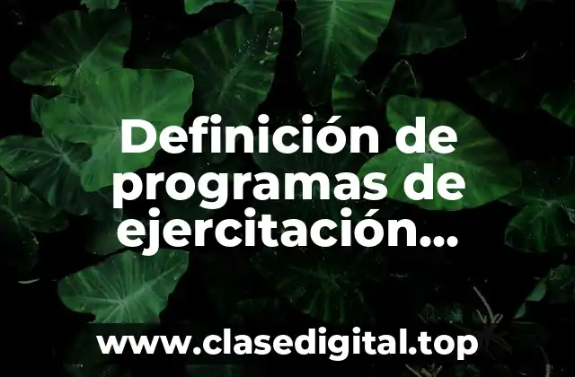 Definición de programas de ejercitación, simulación y ludicos