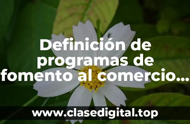 Definición de programas de fomento al comercio exterior