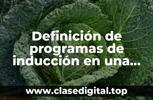 Ejemplos de programas de inducción en una empresa