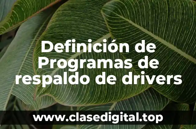Definición de Programas de respaldo de drivers
