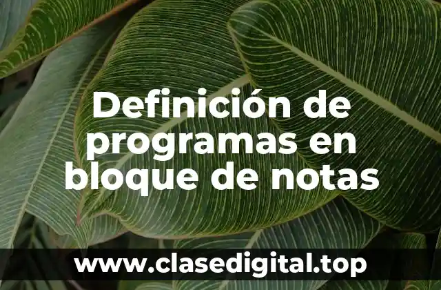 Definición de programas en bloque de notas