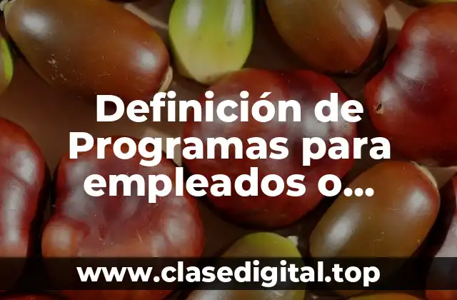 Definición de Programas para empleados o trabajadores
