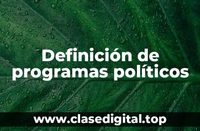 Definición de programas políticos