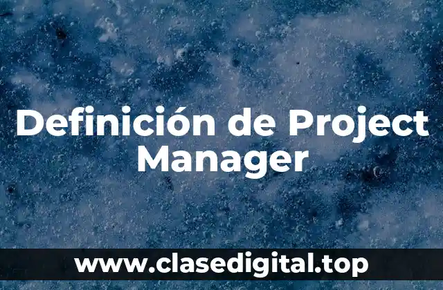 Definición de Project Manager